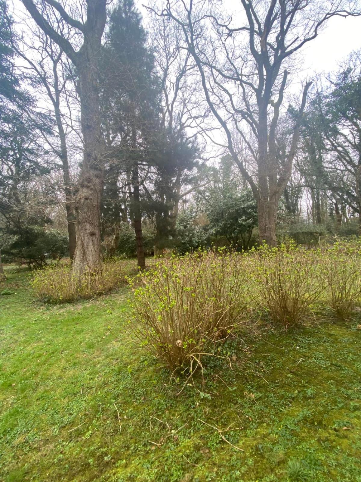 Bg32 - Mer & Bois De Cise Maison Individuelle Avec Grand Jardin 奥尔特 外观 照片